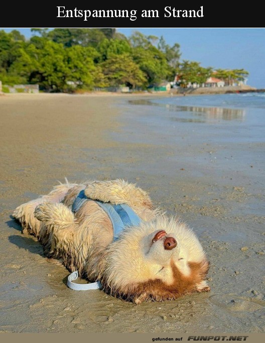 Entspannung am Strand