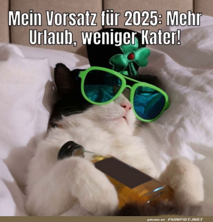 Vorsatz fr 2025