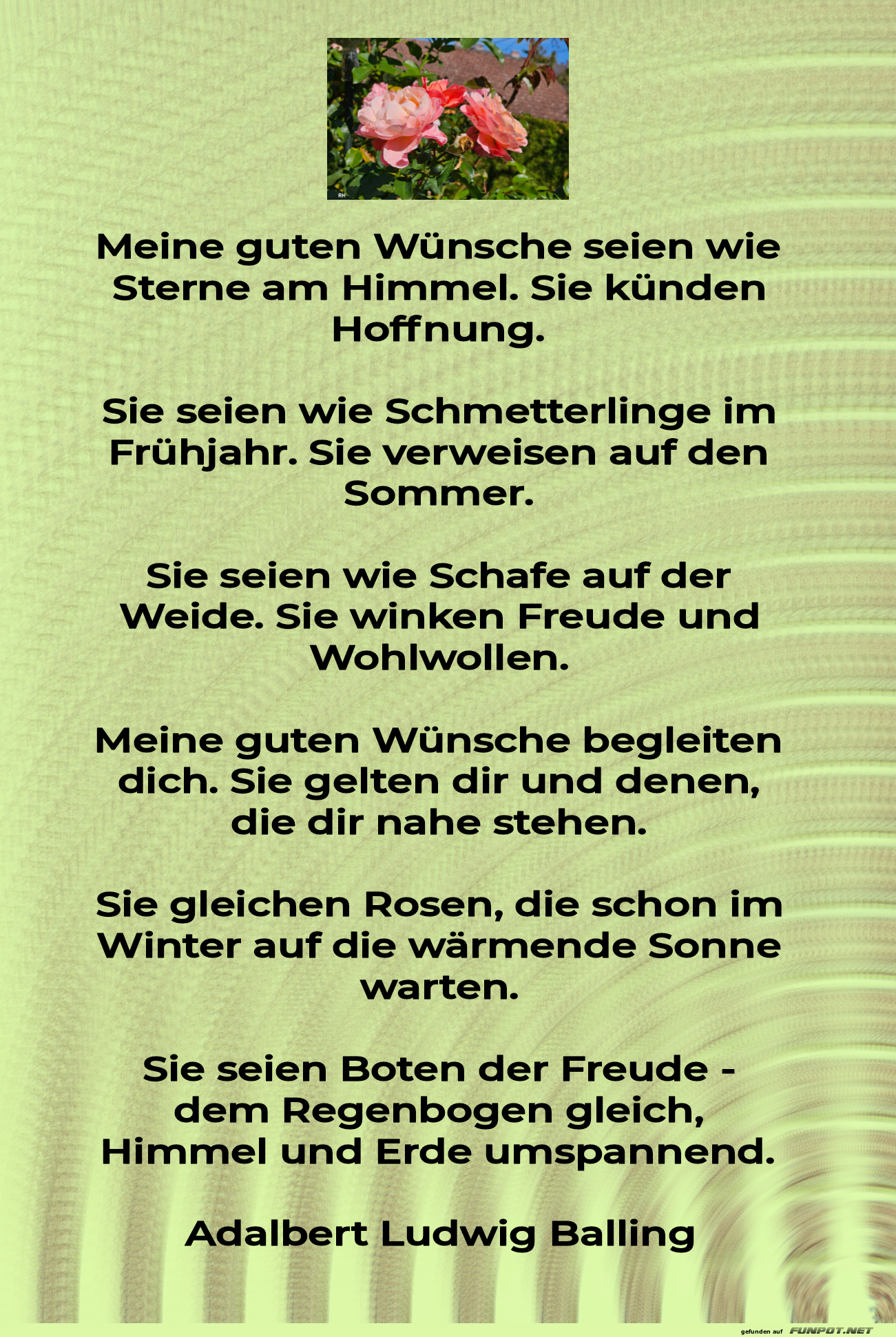 meine guten wünsche seien meine guten wünsche seien
