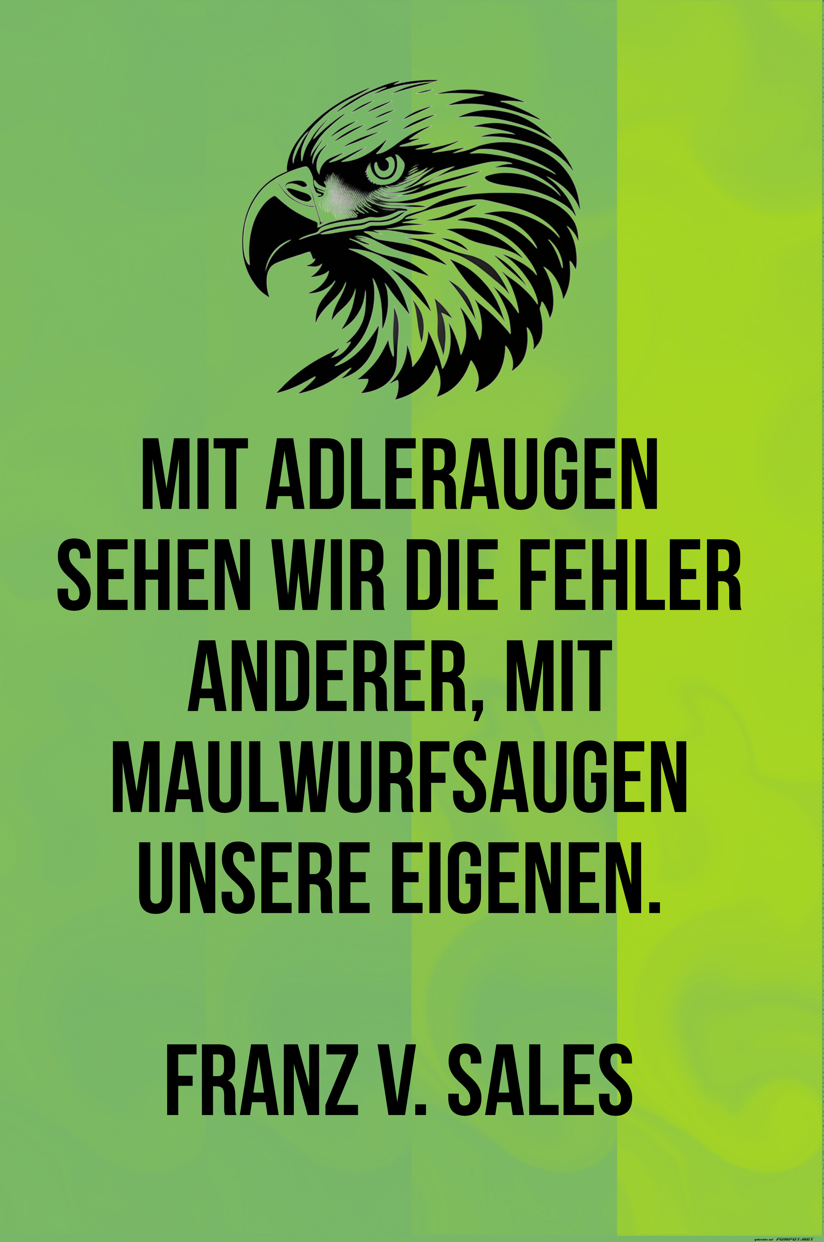 mit adleraugen mit adleraugen