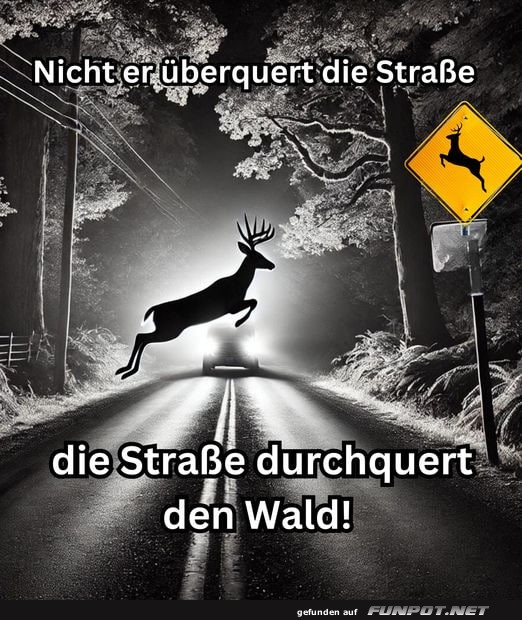 Die Strasse 