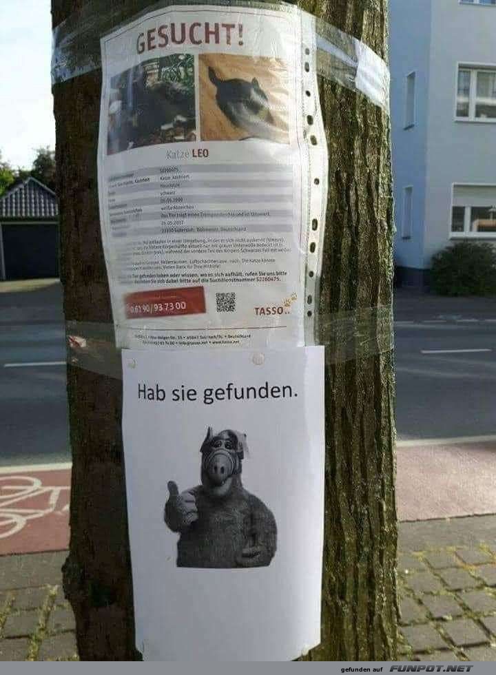 Alf war erfolgreich 