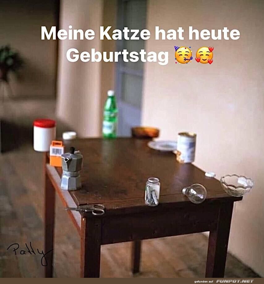 Katzen-Geburtstag