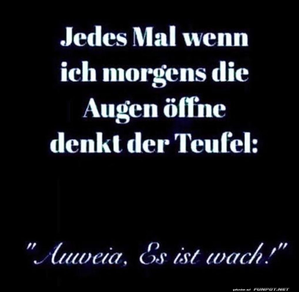 Jeden Morgen Jeden Morgen
