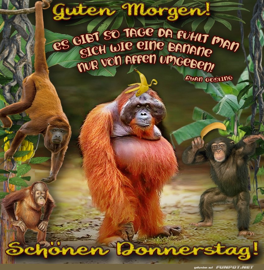 Donnerstag