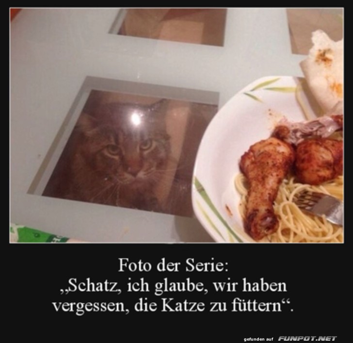 Vergessen die Katze zu fttern