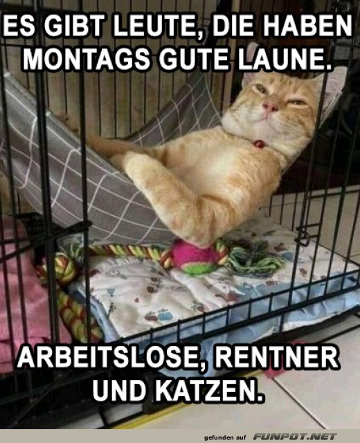 Montags gute Laune