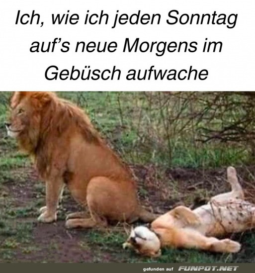 Ich am Sonntagmorgen Ich am Sonntagmorgen