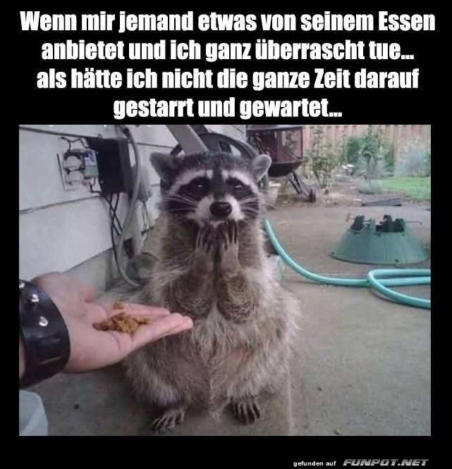 Ich bin berrascht