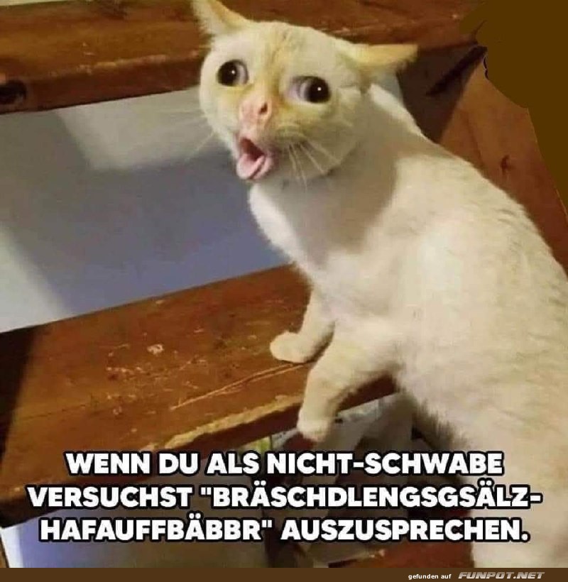 Wenn du als Nicht-Schwabe...