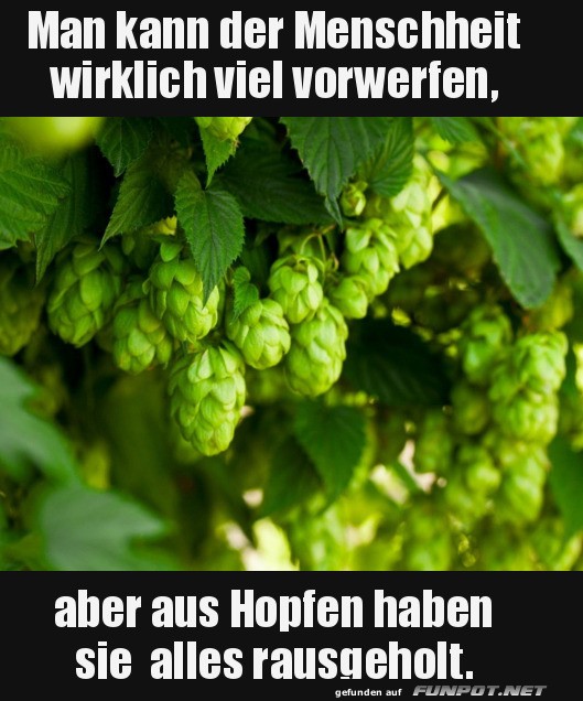 Hopfen