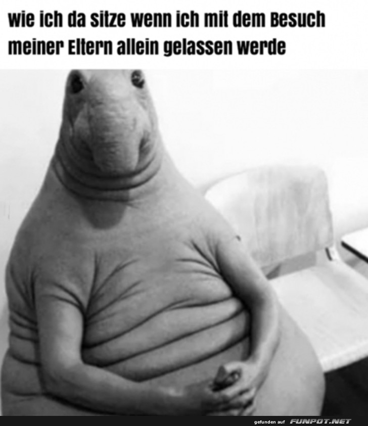 Wie ich da sitze