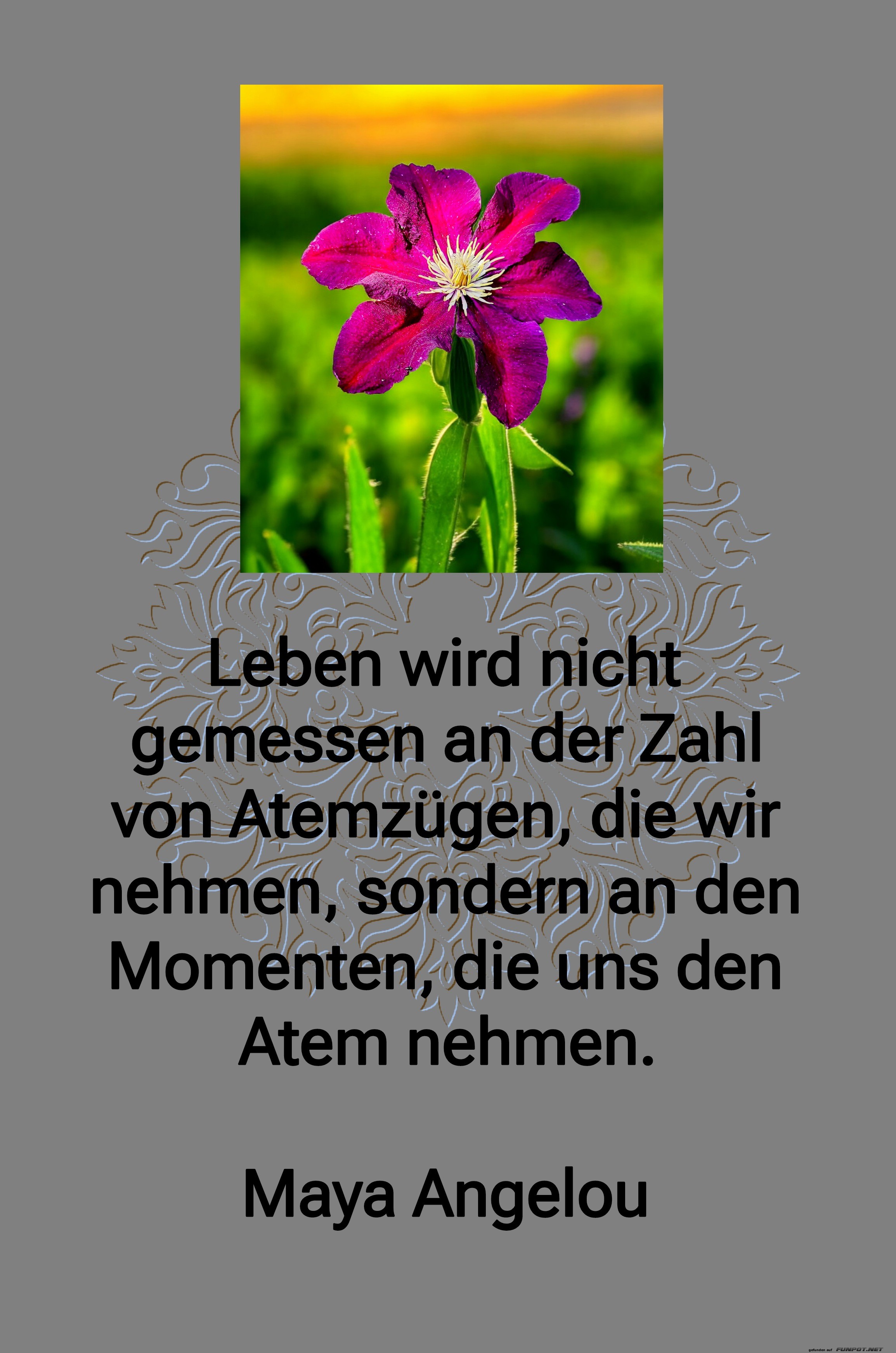 leben wird nicht gemessen leben wird nicht gemessen