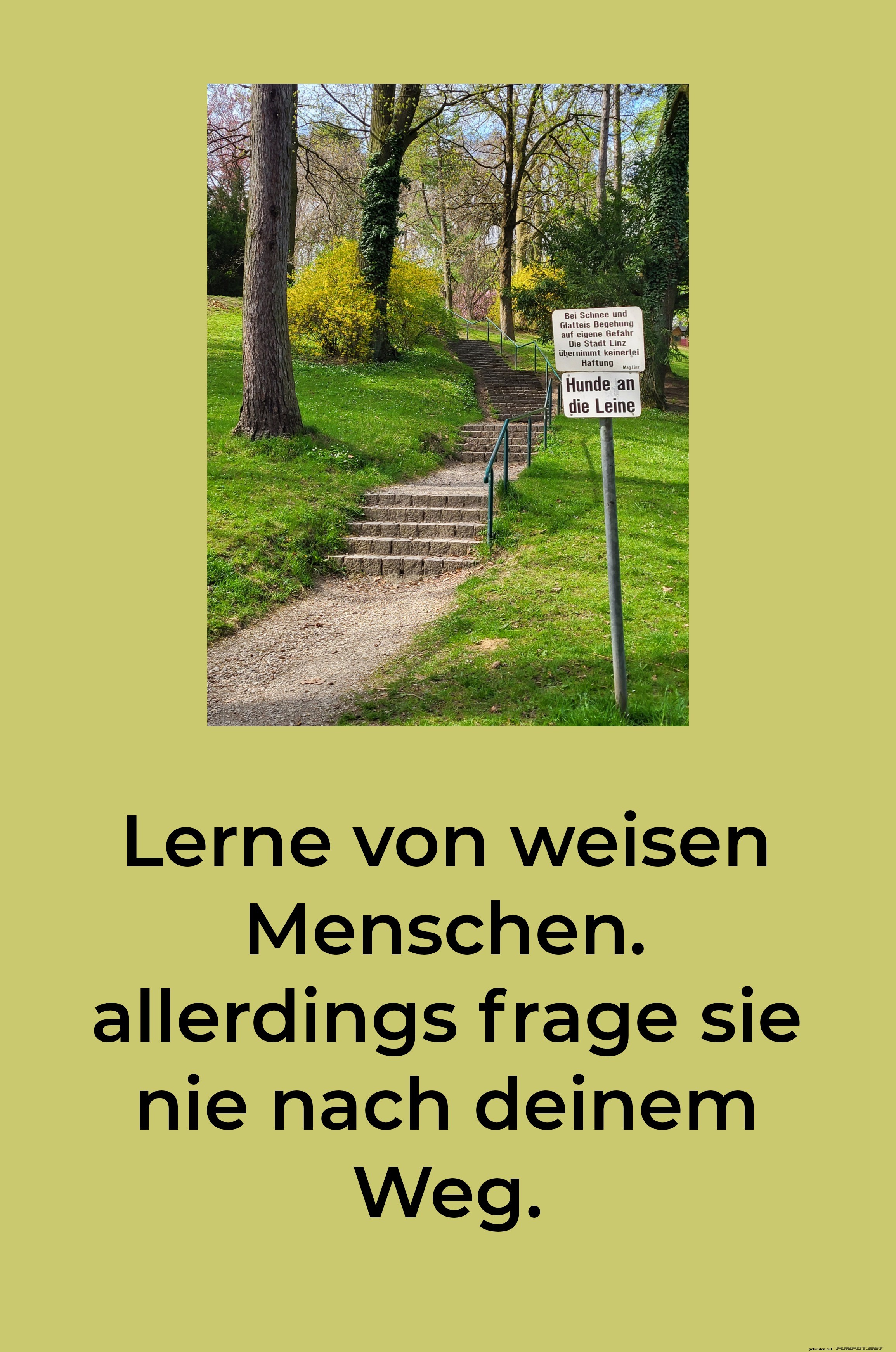 lerne von weisen menschen