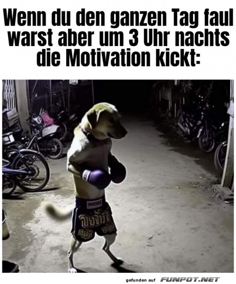 Die Motivation kickt