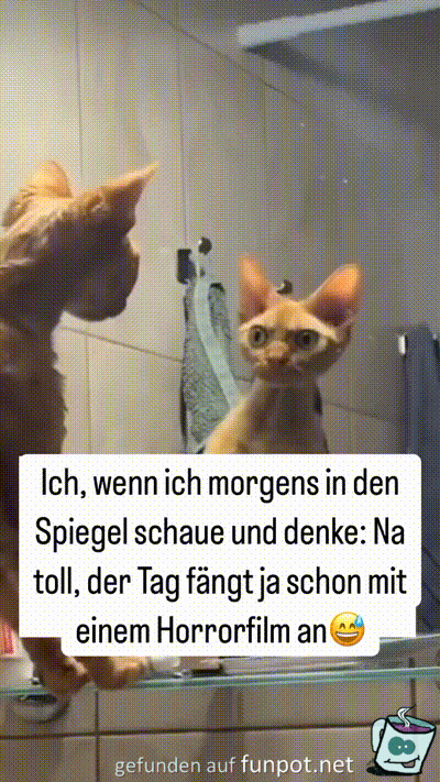 Der Tag fngt ja schlimm an