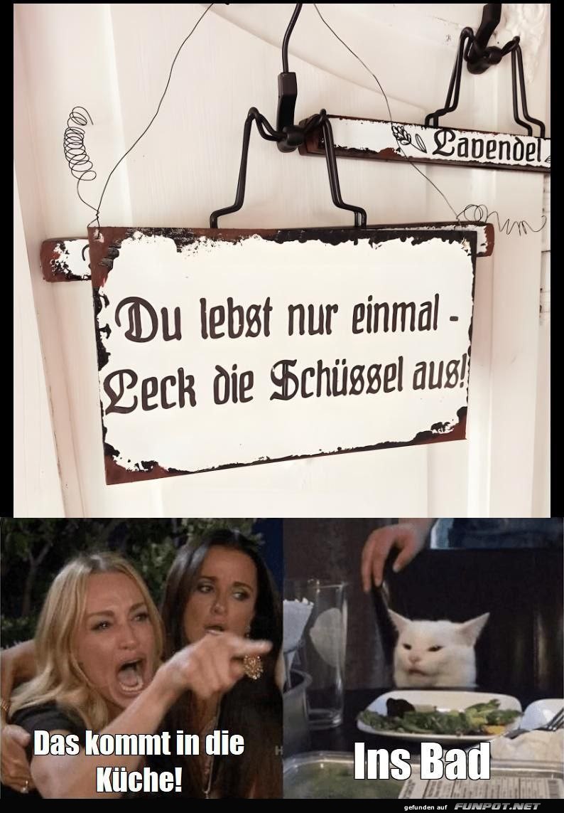 Witzige Schilder mit Meme-Katze