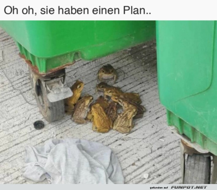 Oh oh, sie haben einen Plan..