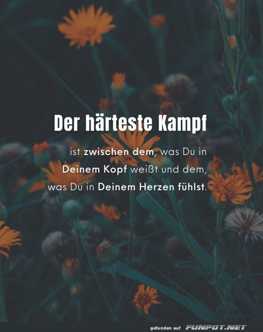 Der hrteste Kampf - Kopf vs. Herz