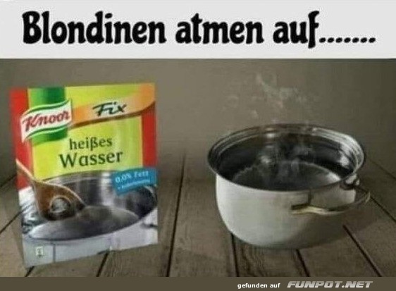 Lustiges Instant-Produkt für Blondinen Lustiges Instant-Produkt für Blondinen