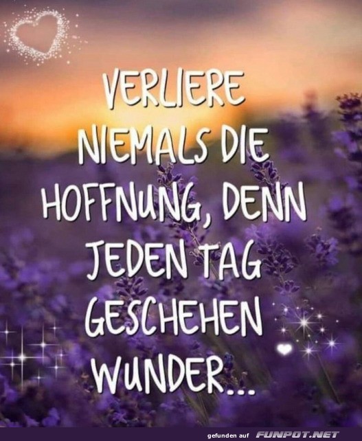 Motivationsspruch ber Hoffnung und Wunder