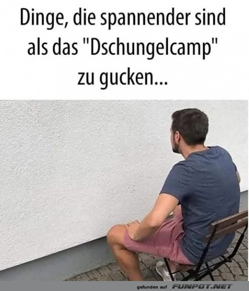 Vergleich: Spannender als Dschungelcamp