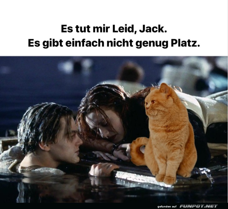 Katze auf der Titanic