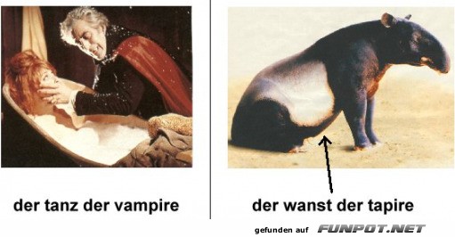 Ein humorvoller Vergleich: Vampire und Tapire