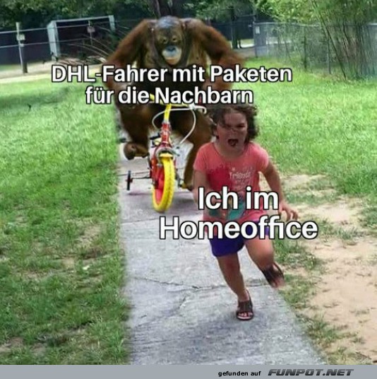 Lustige Verfolgungsjagd im Homeoffice