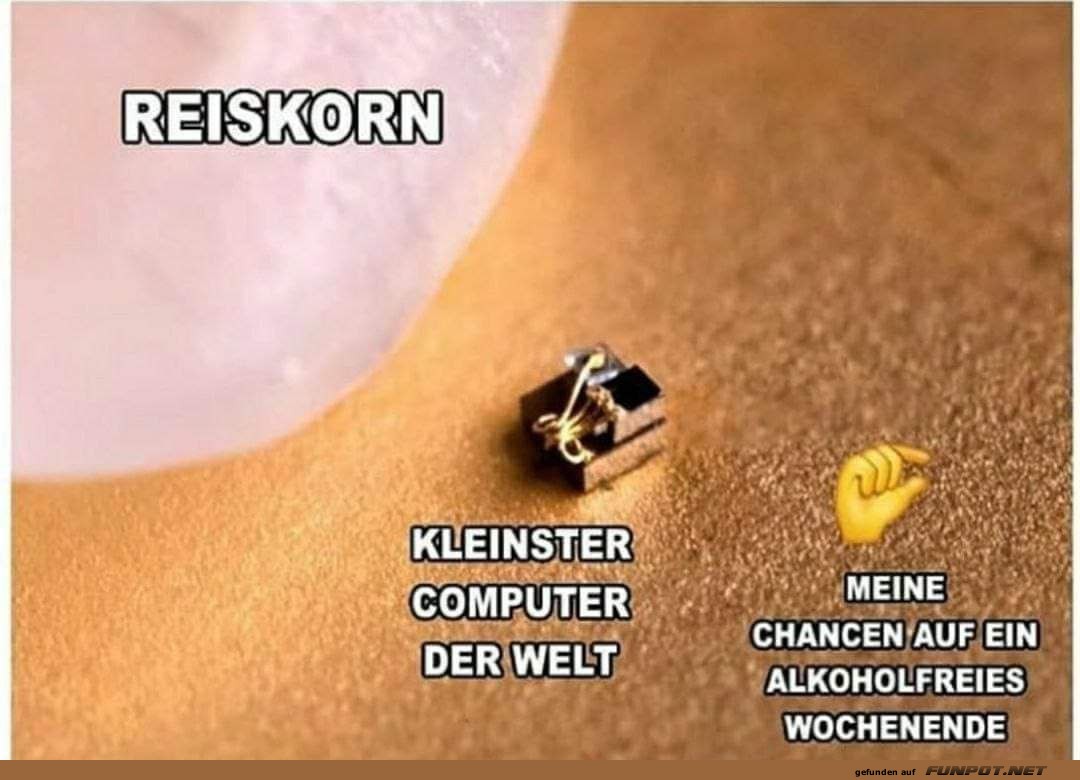 Der kleinste Computer neben einem Reiskorn