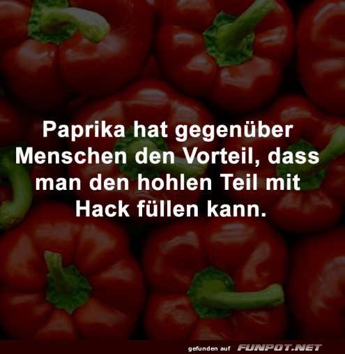 Paprika-Vorteil: Perfekt zum Fllen mit Hack