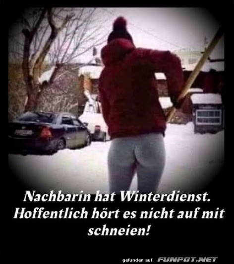 Winterdienst der Nachbarin