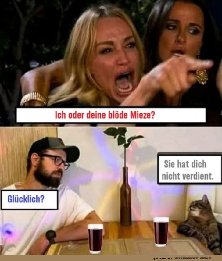 Konflikt zwischen Partner und Katze