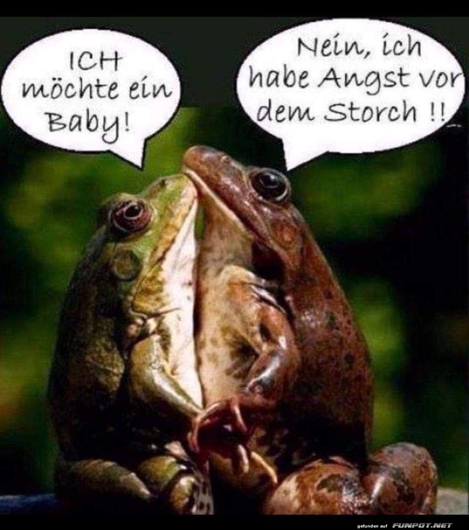 Froschgesprch ber Nachwuchs