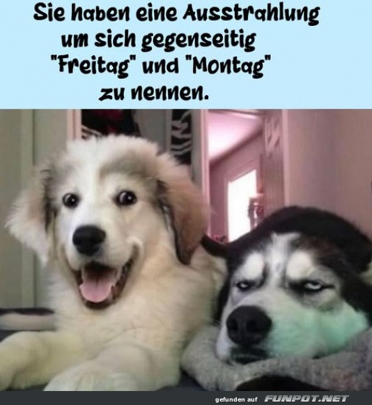 Freitag und Montag