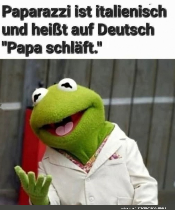 Lustiger Kermit-Witz ber Paparazzi