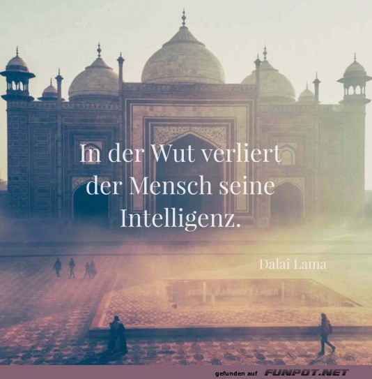 Weisheit ber Wut und Intelligenz