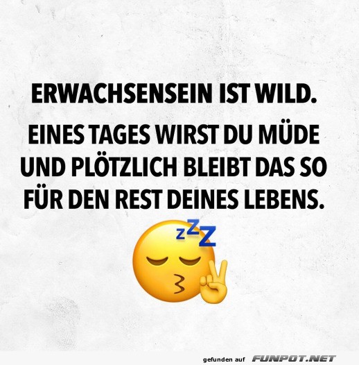 Erwachsensein ist wild und mde