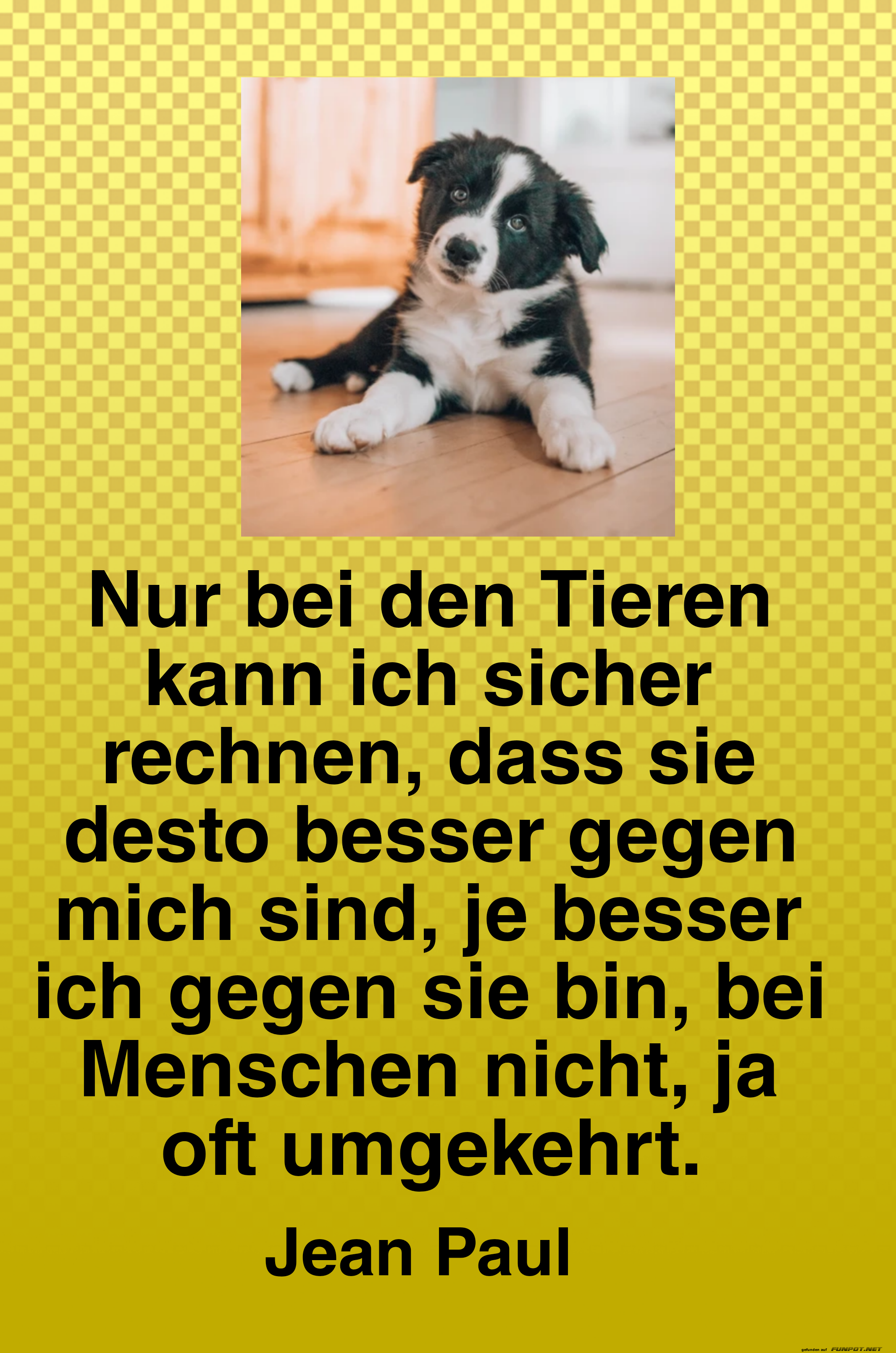 nur bei den tieren