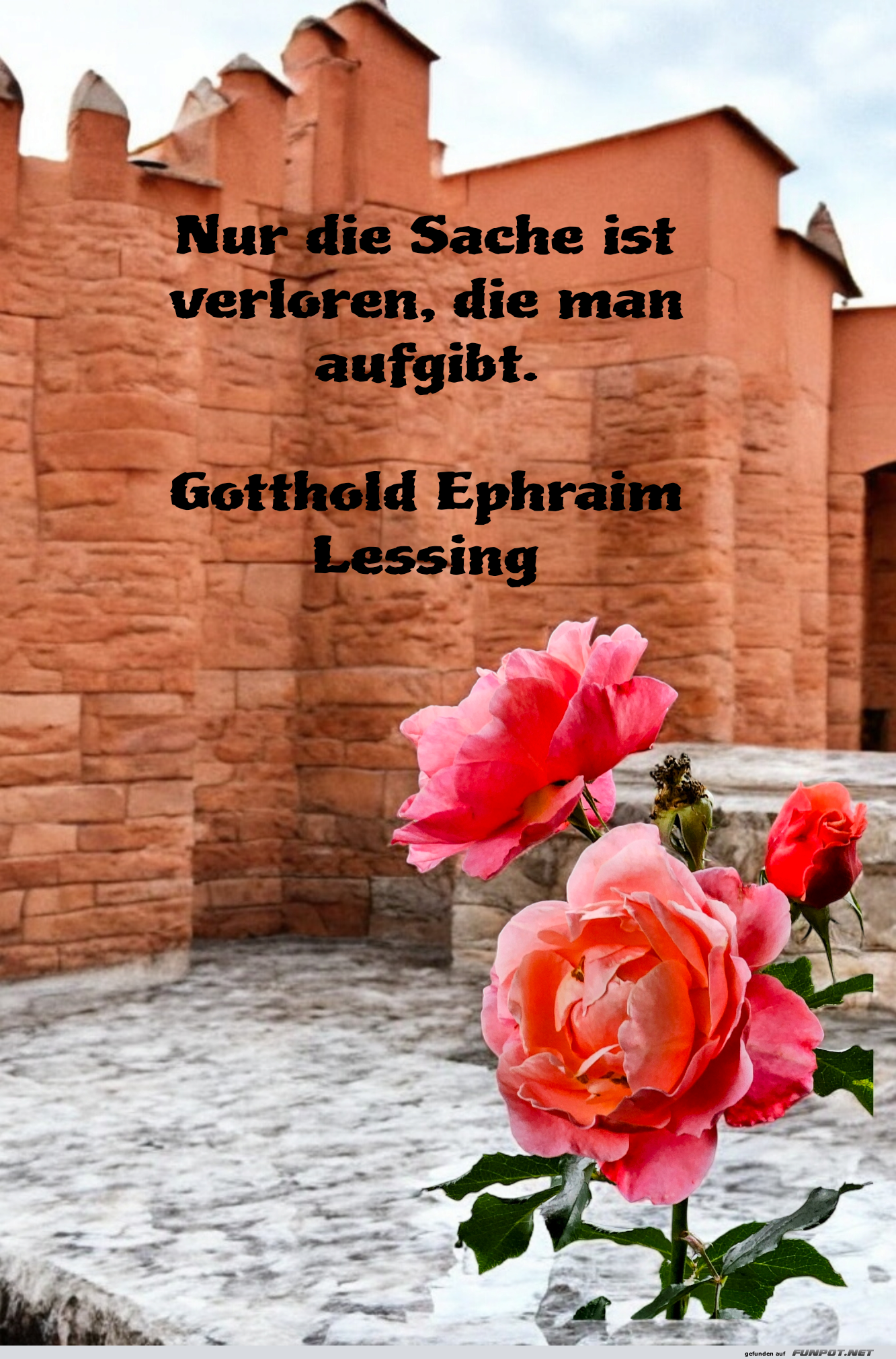 Nur die Sache ist verloren, die man aufgibt. Gotthold Ephrai
