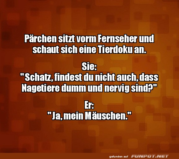 Lustiger Fernsehabend Spruch