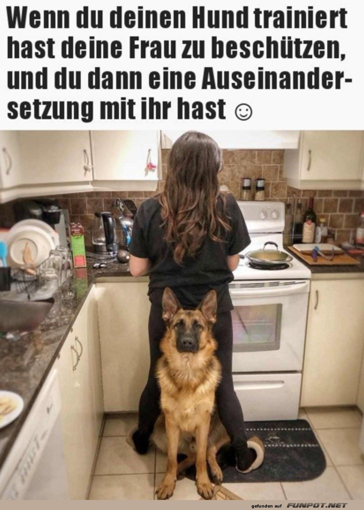 Hund als Beschtzer in der Kche