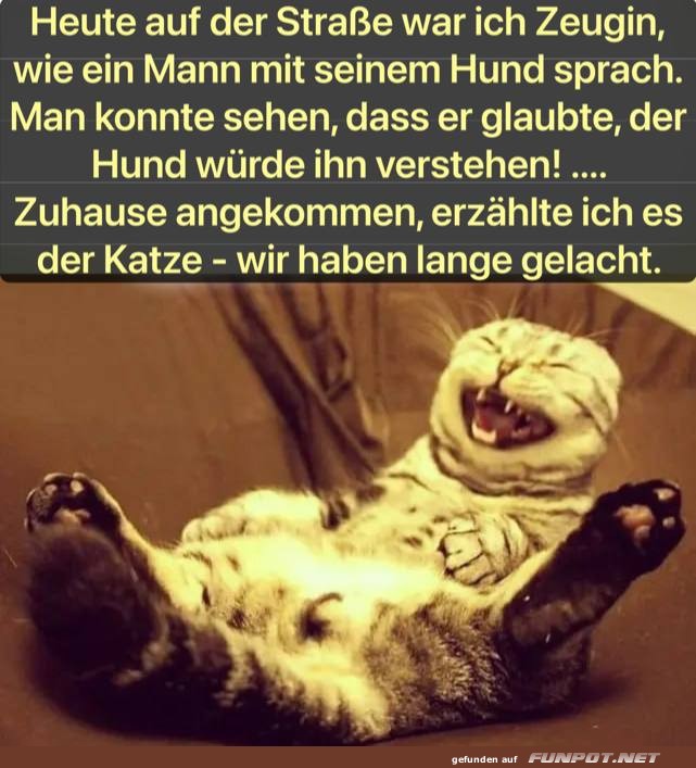 Lustige Geschichte ber Mensch, Hund und Katze