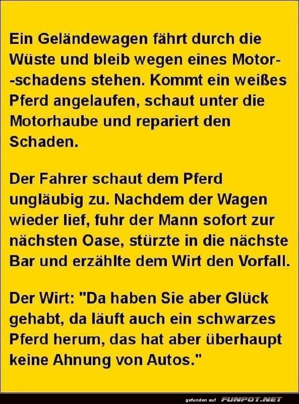 Das weie Pferd und der Autofahrer