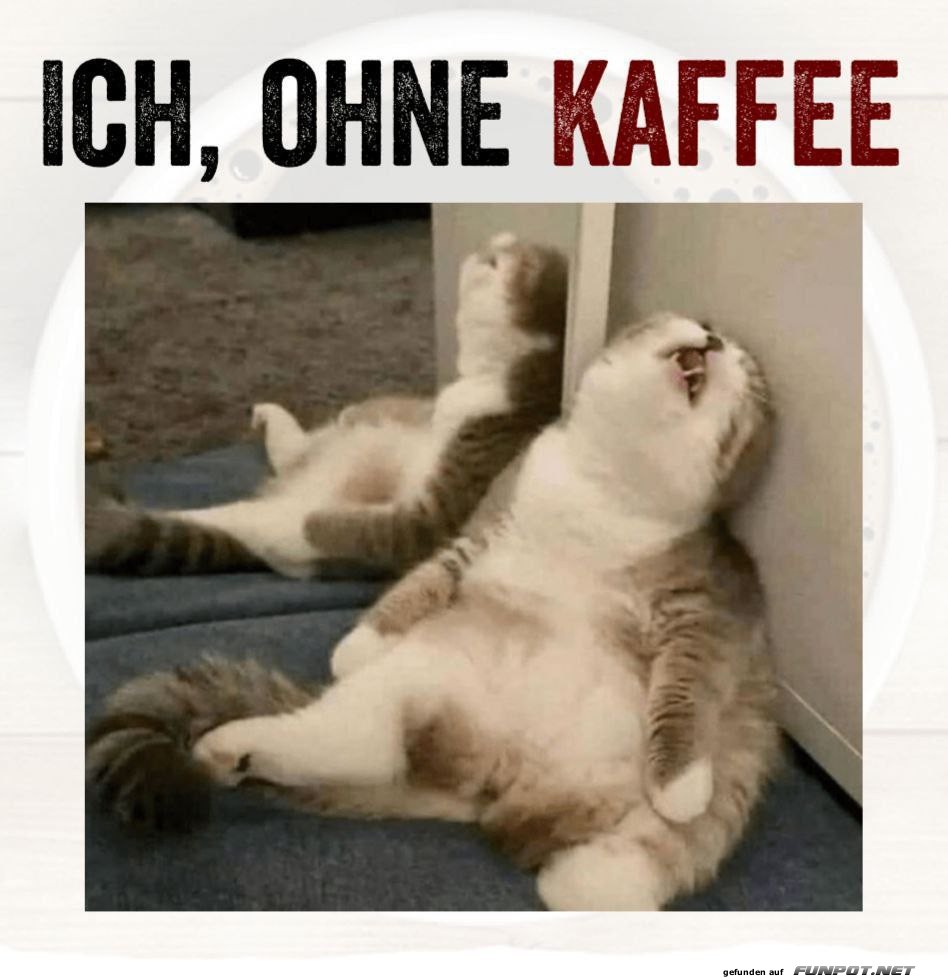 Mde Katze symbolisiert Kaffeebedarf