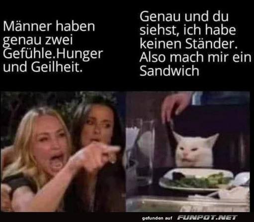 Lustiges Meme mit Katze und Zitat