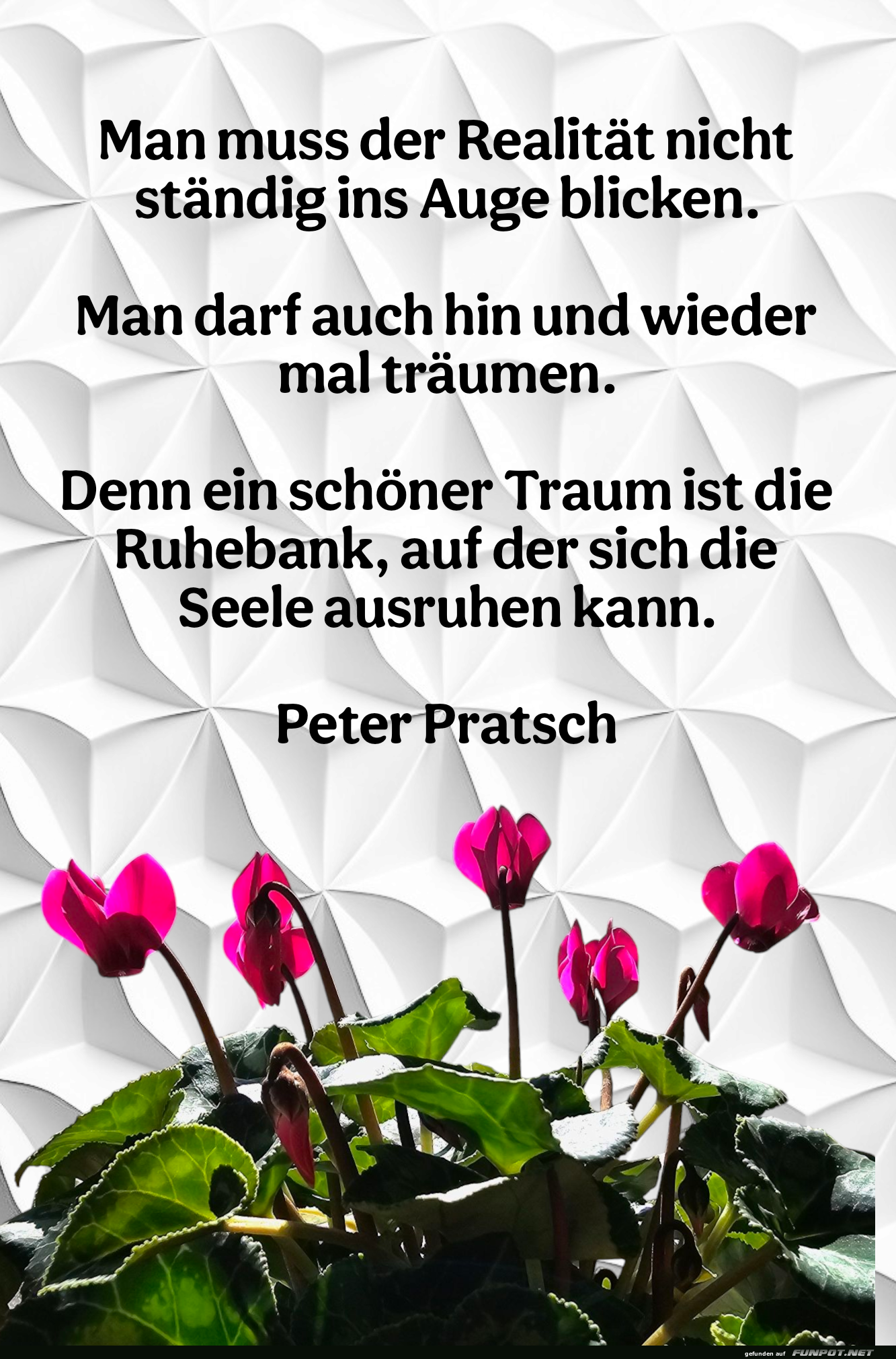 man muss der realität man muss der realität