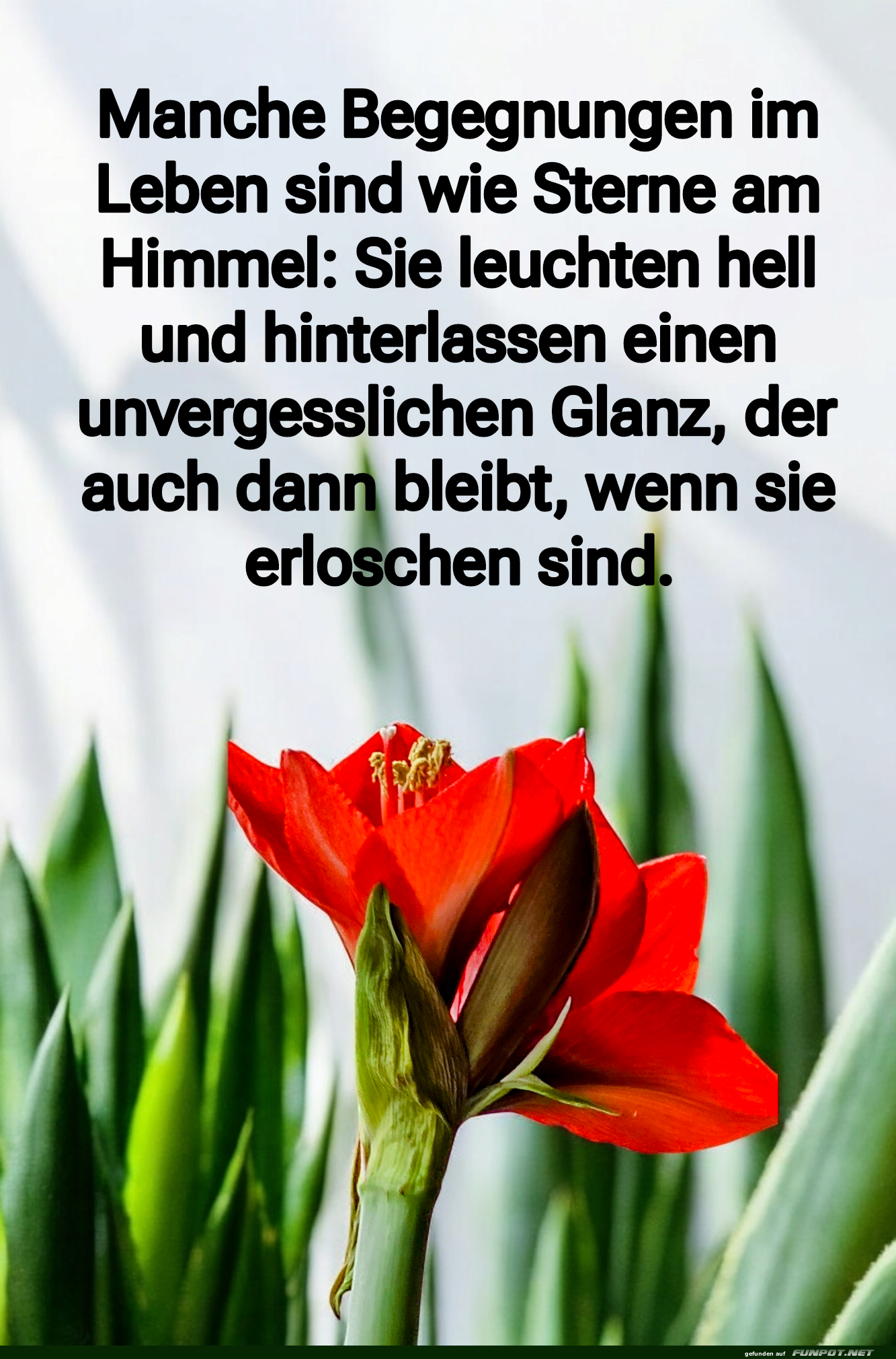 manche begegnungen im leben manche begegnungen im leben