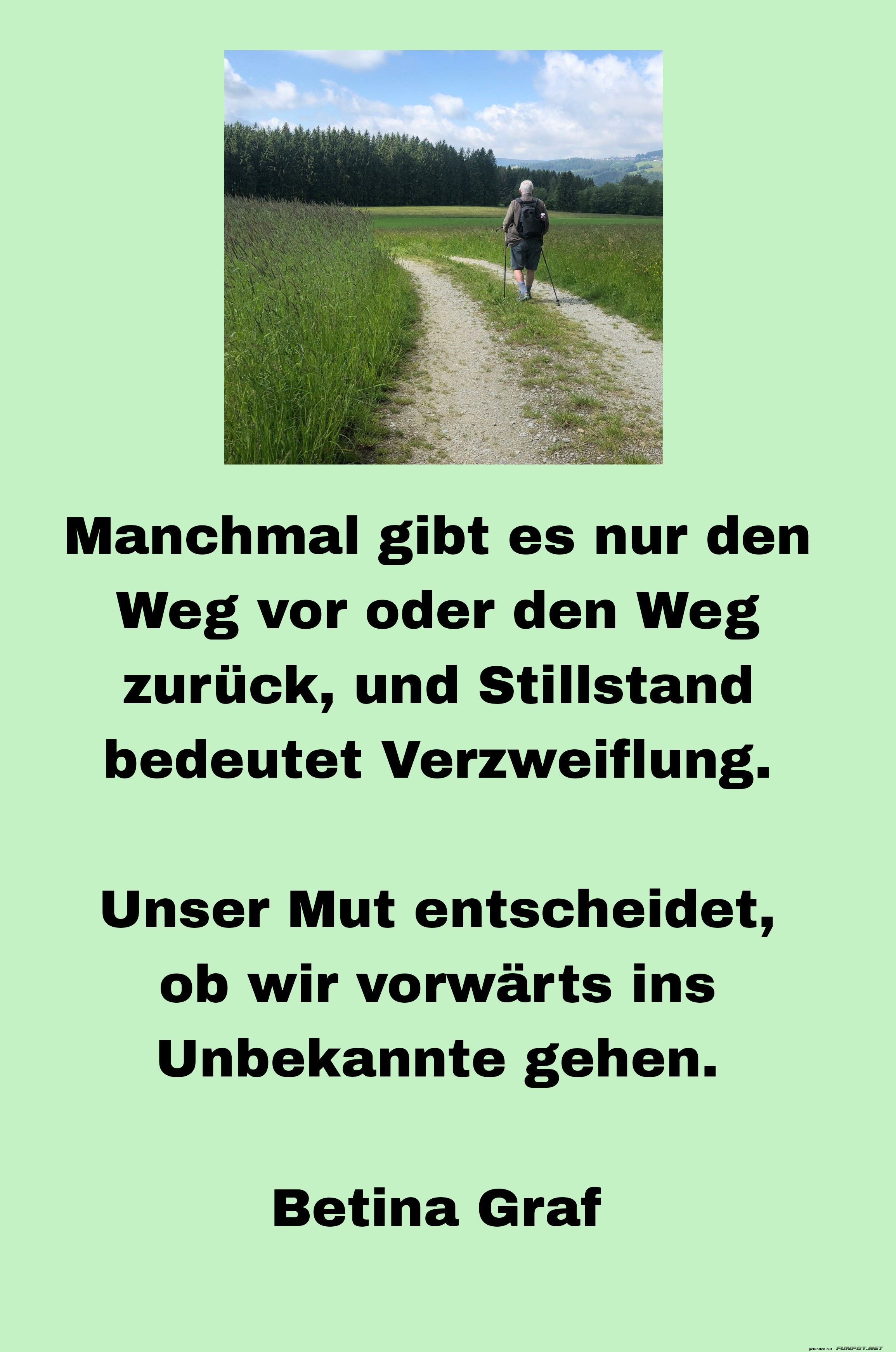 manchmal gibt es nur den weg