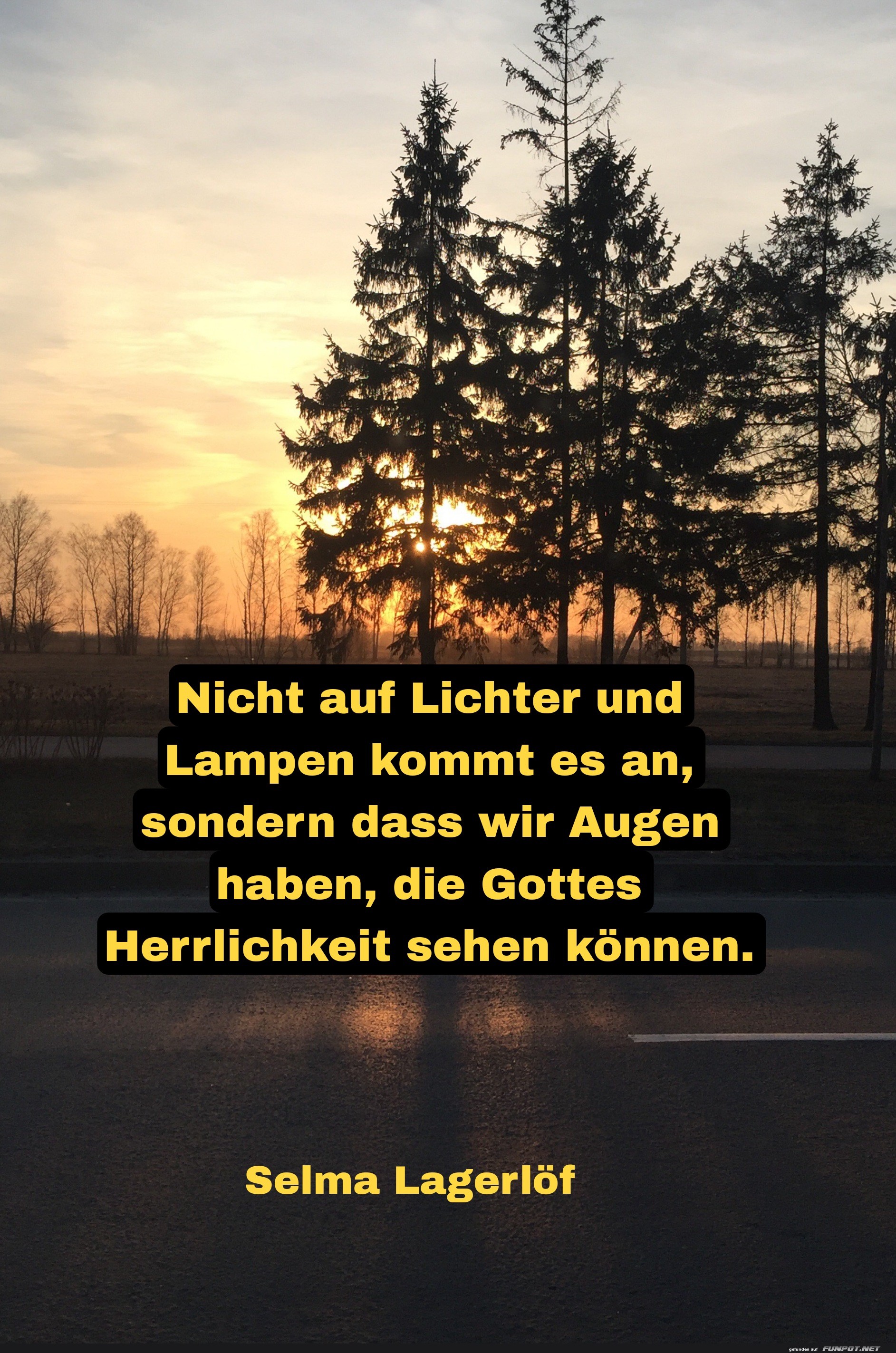 nicht auf lichter und lampen